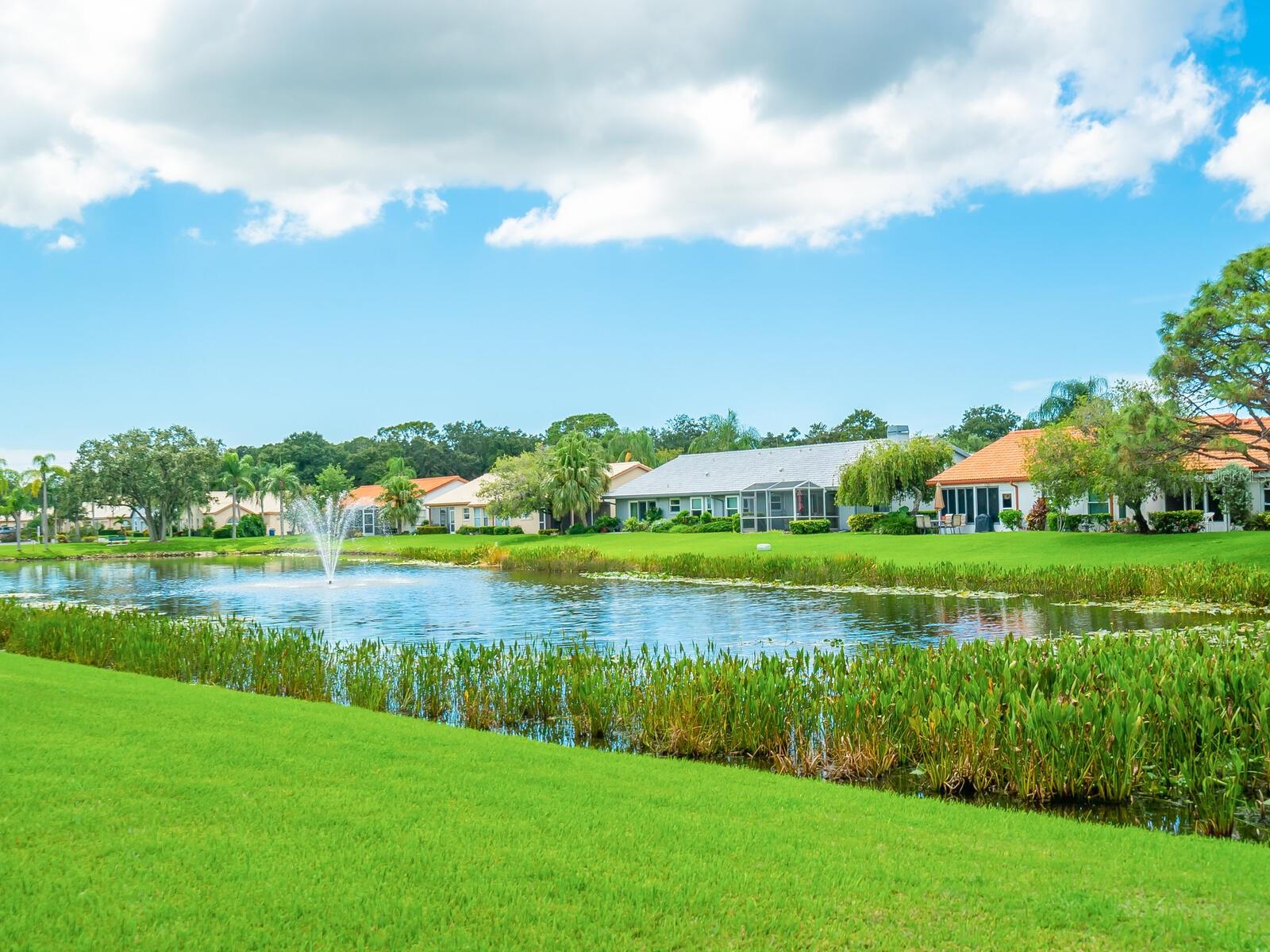 4124 ROSAS AVE #3081