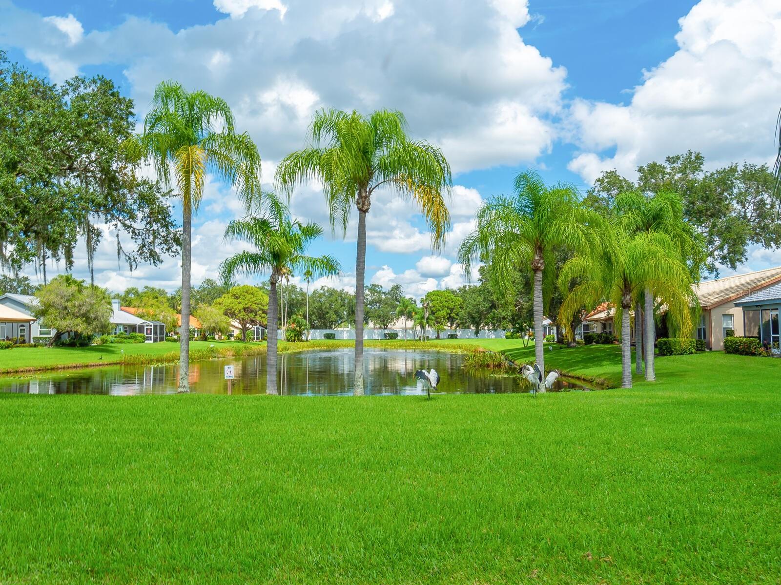 4124 ROSAS AVE #3081