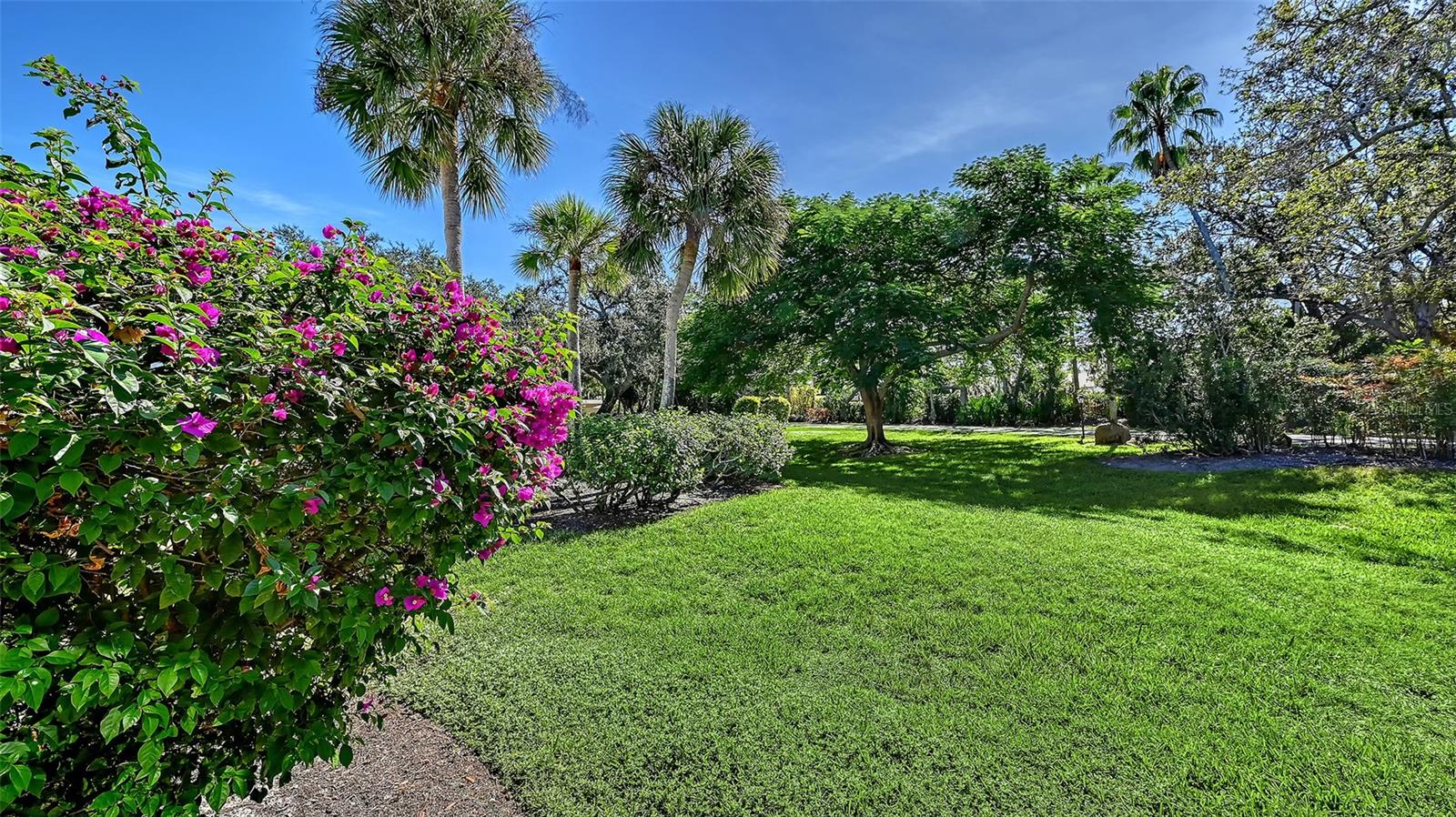 101 TIDEWATER DR #101