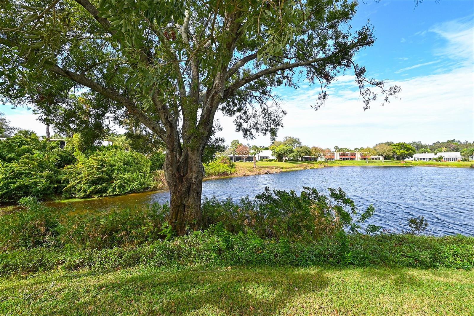 101 TIDEWATER DR #101