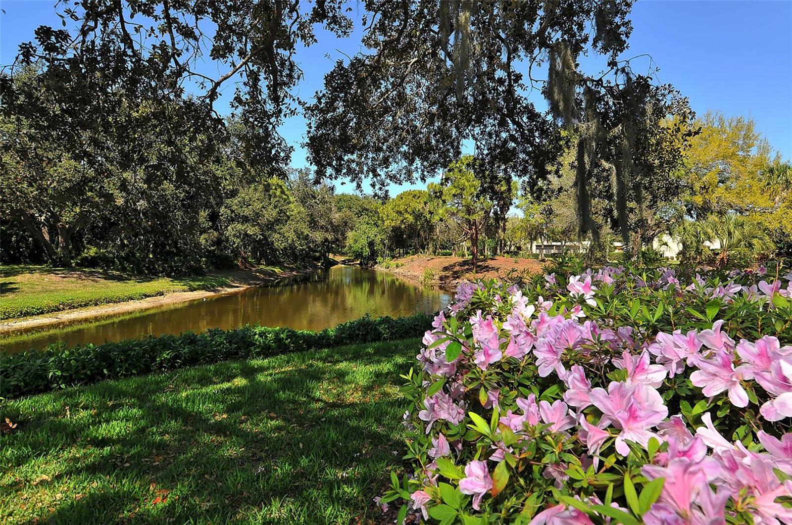 101 TIDEWATER DR #101