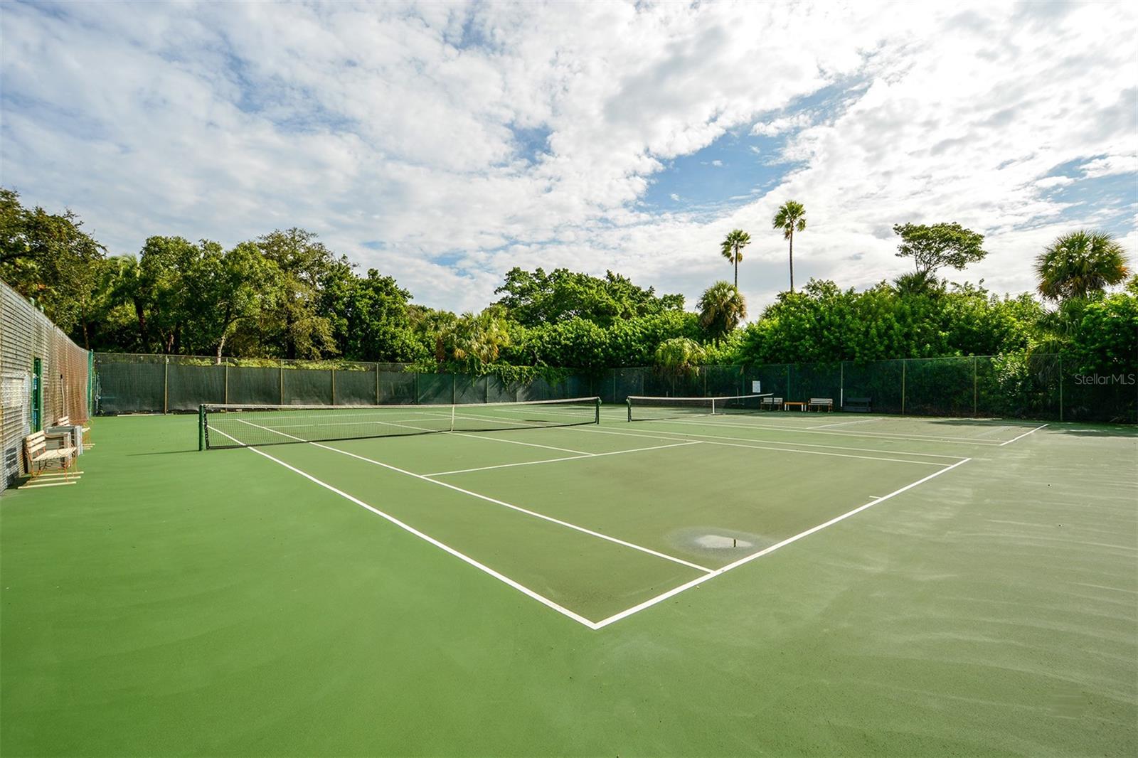 101 TIDEWATER DR #101