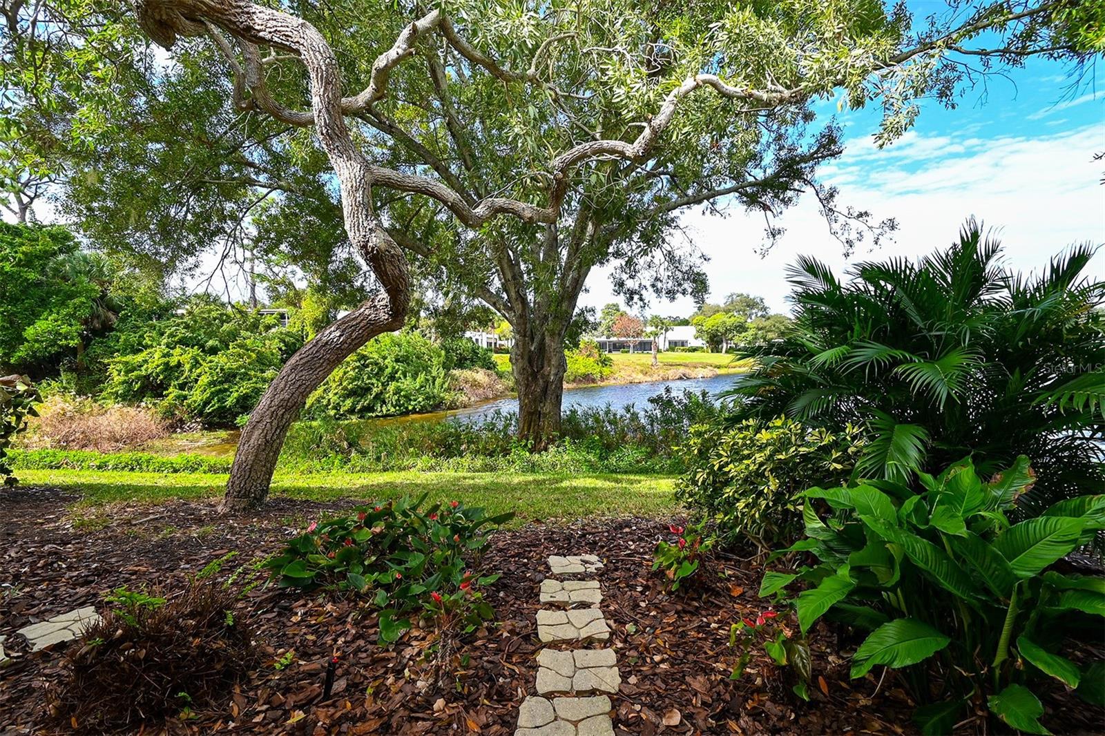 101 TIDEWATER DR #101