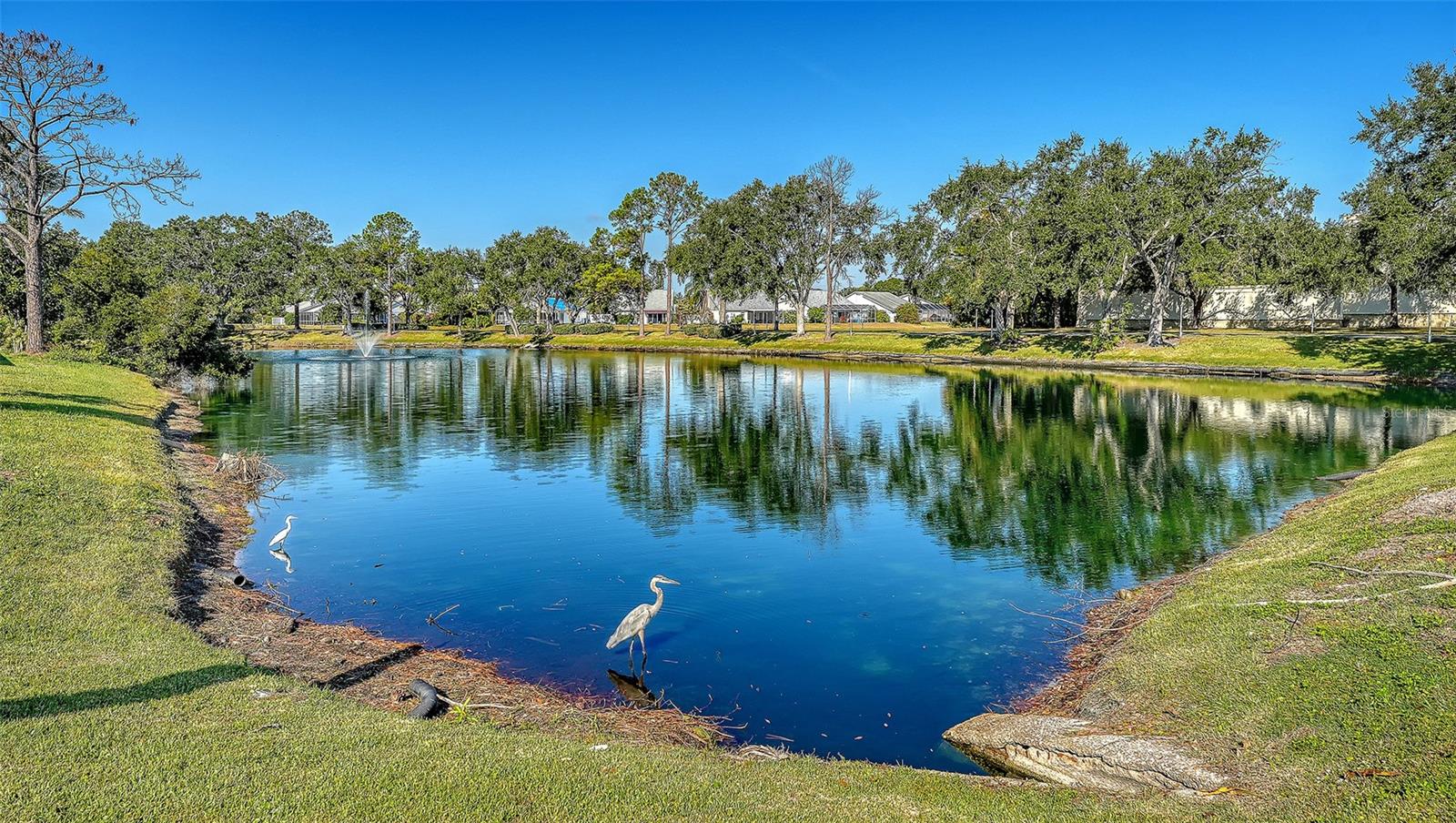 7833 ONTARIO STREET CIR