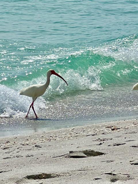 4310 FALMOUTH DR #102