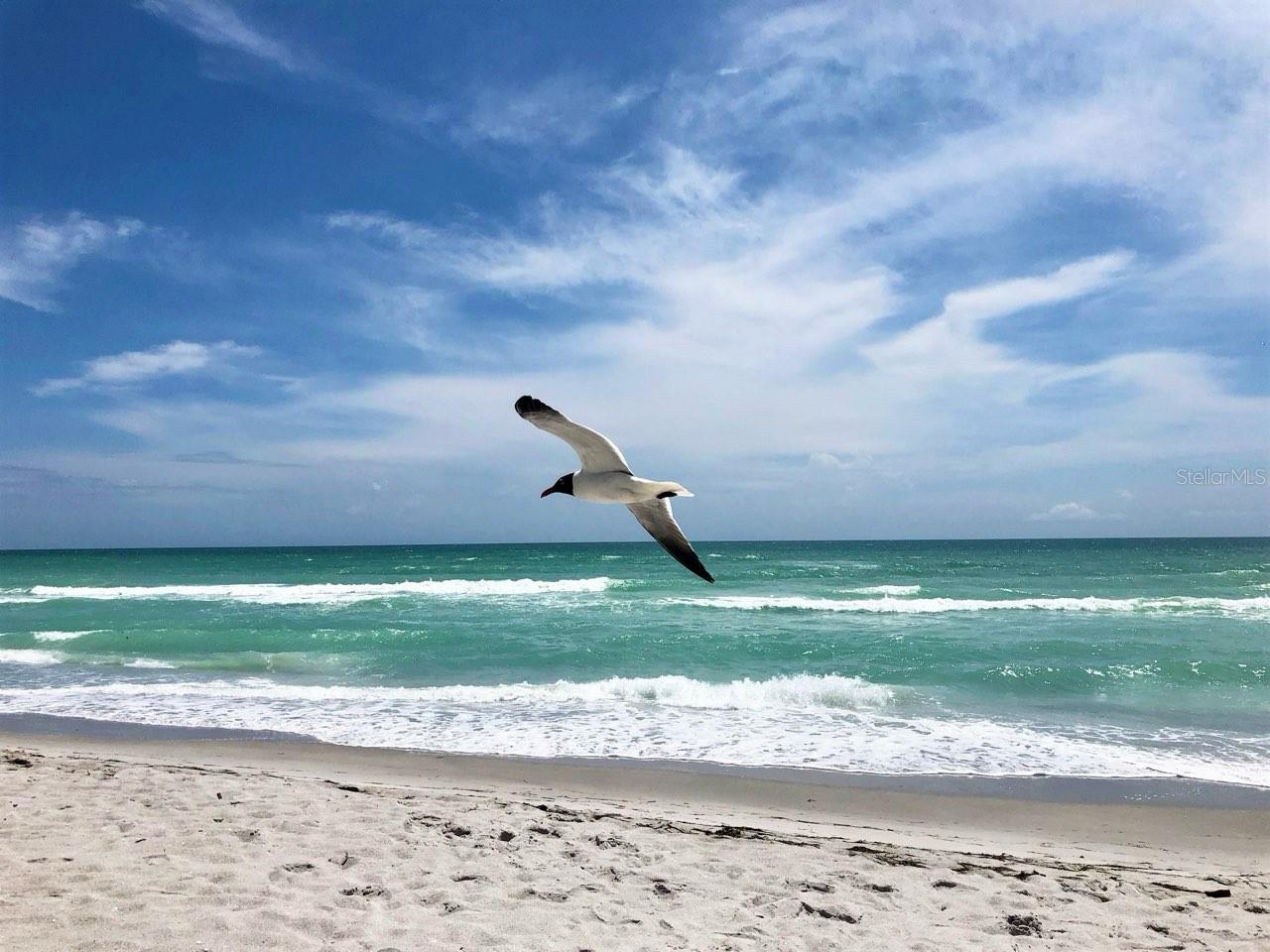 4310 FALMOUTH DR #102