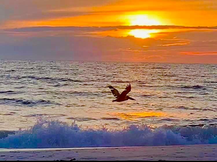 4310 FALMOUTH DR #102