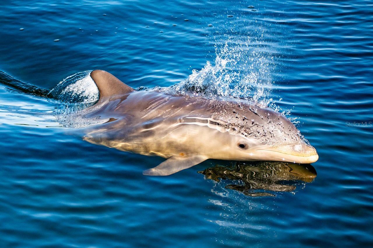 4310 FALMOUTH DR #102