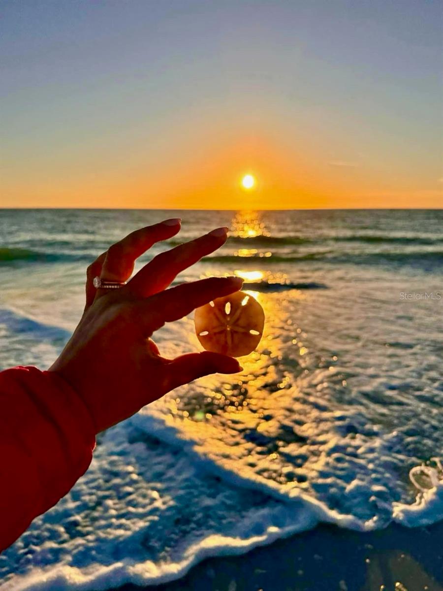 4310 FALMOUTH DR #102