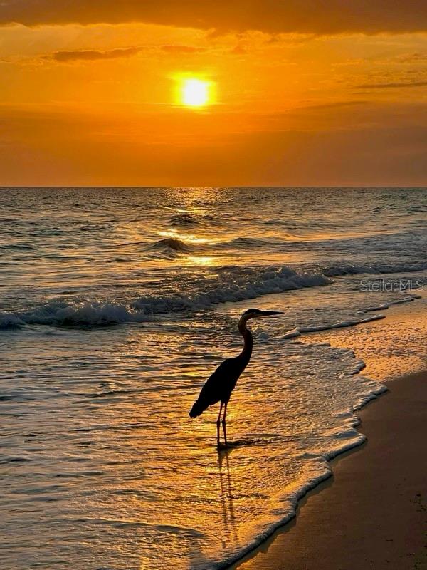 4310 FALMOUTH DR #102