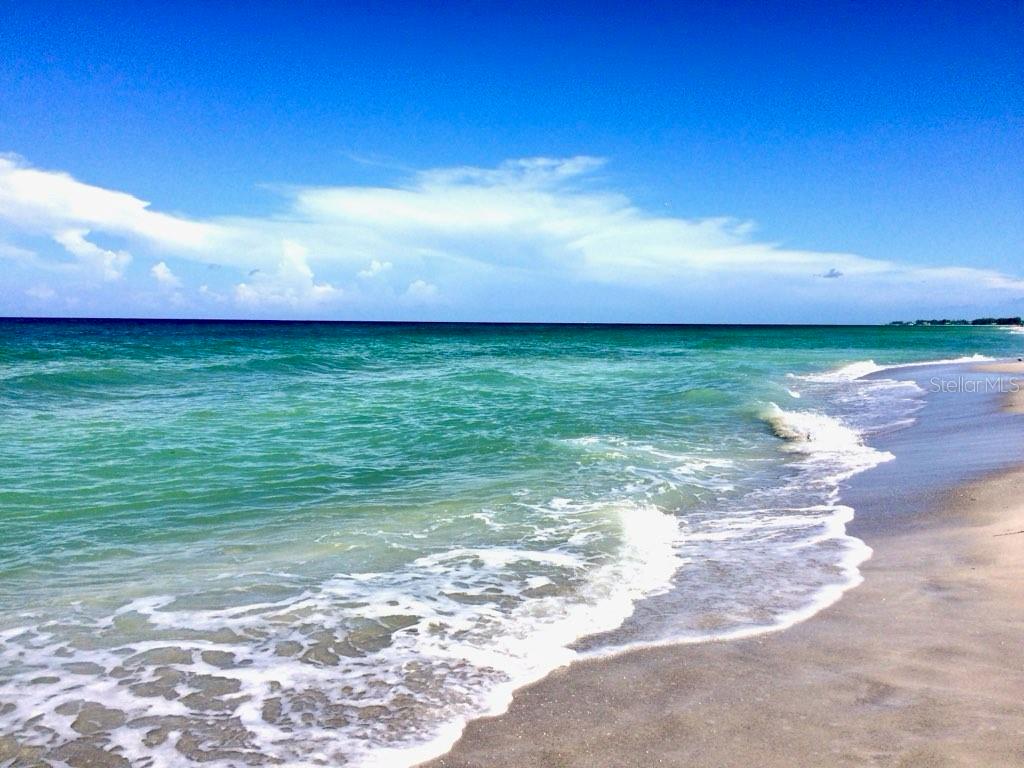 4310 FALMOUTH DR #102