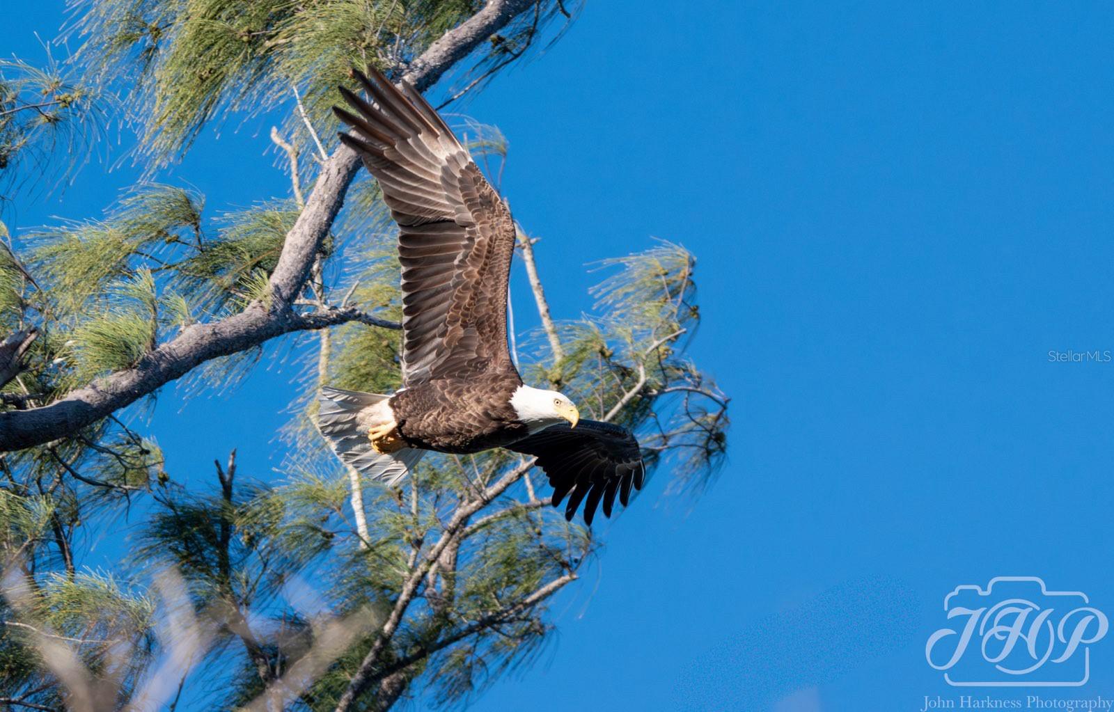 4310 FALMOUTH DR #102