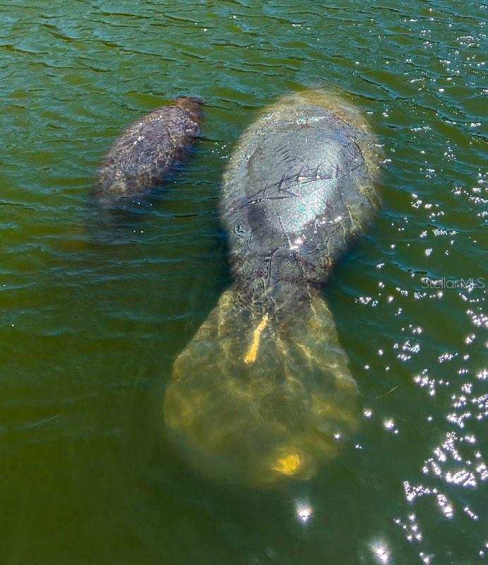 4310 FALMOUTH DR #102