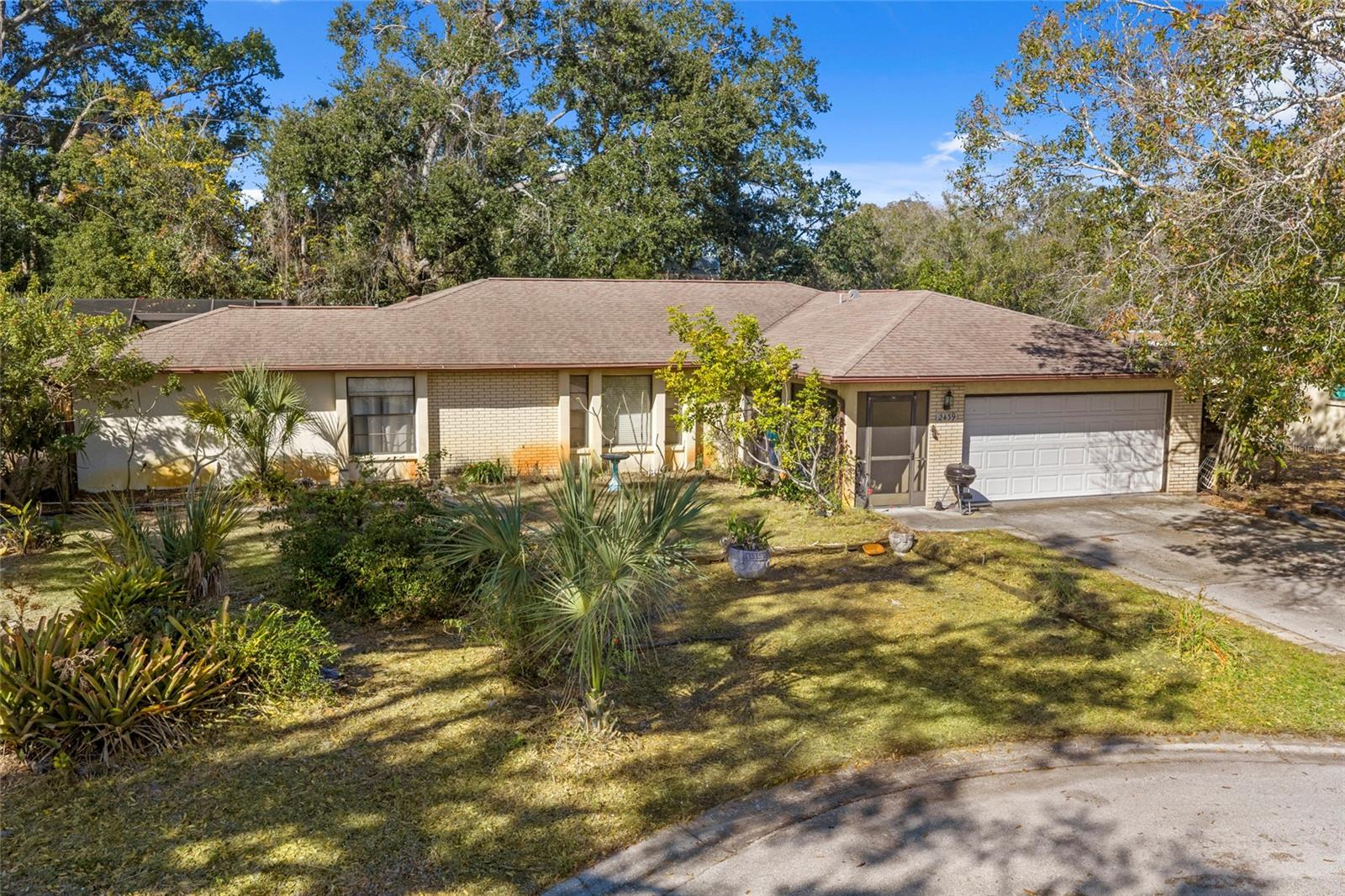 2439 FEIFFER CIR