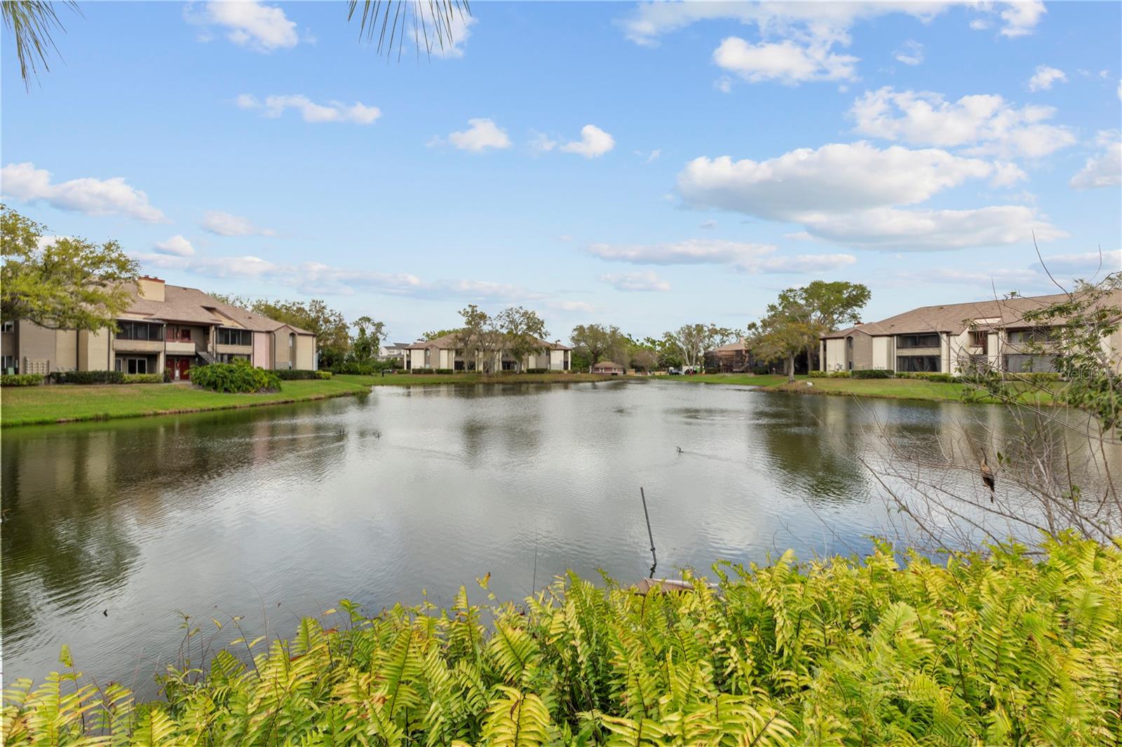 10265 GANDY BLVD N #1401