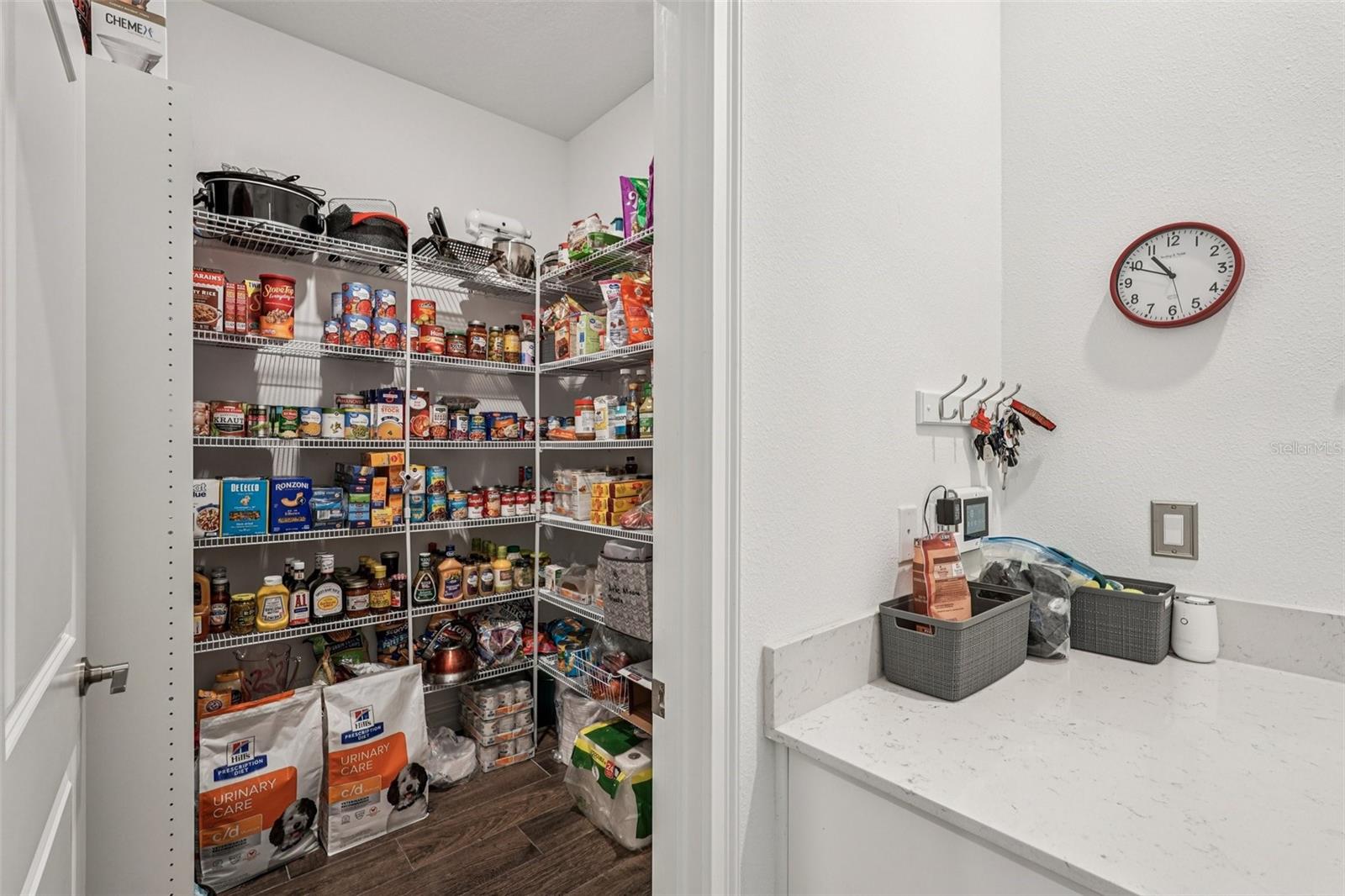 12847 BERGSTROM BAY DR