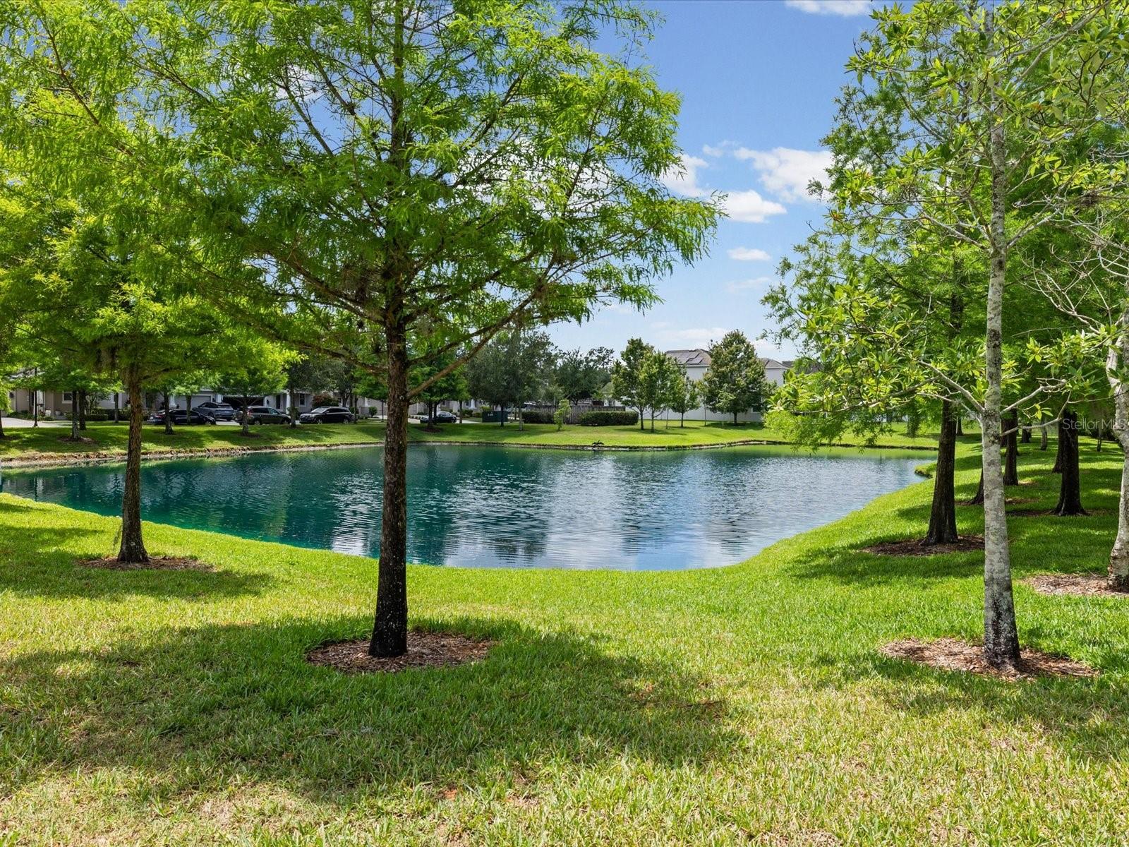 7105 PARK TREE DR