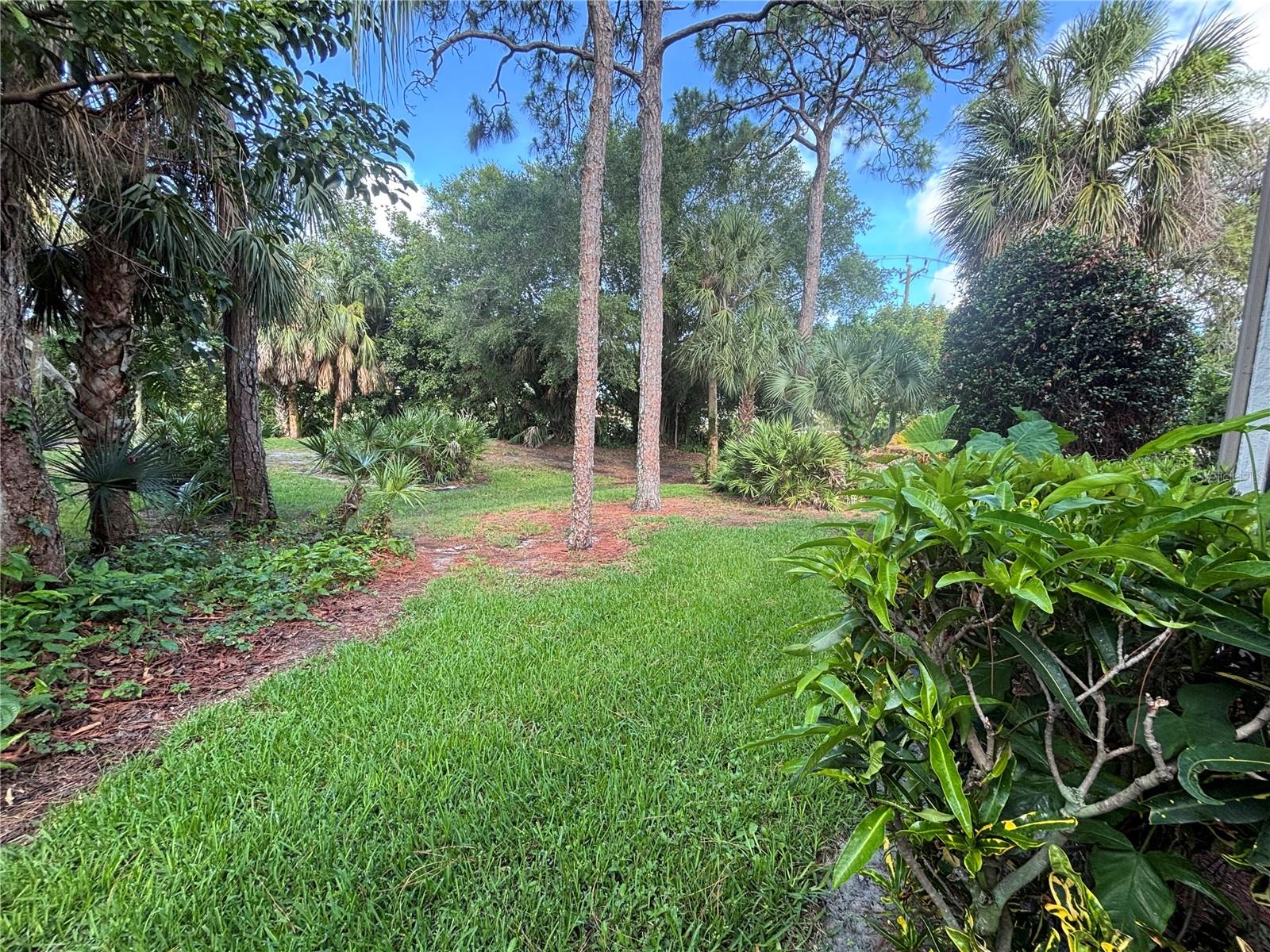 345 SPRINGDALE DR #345