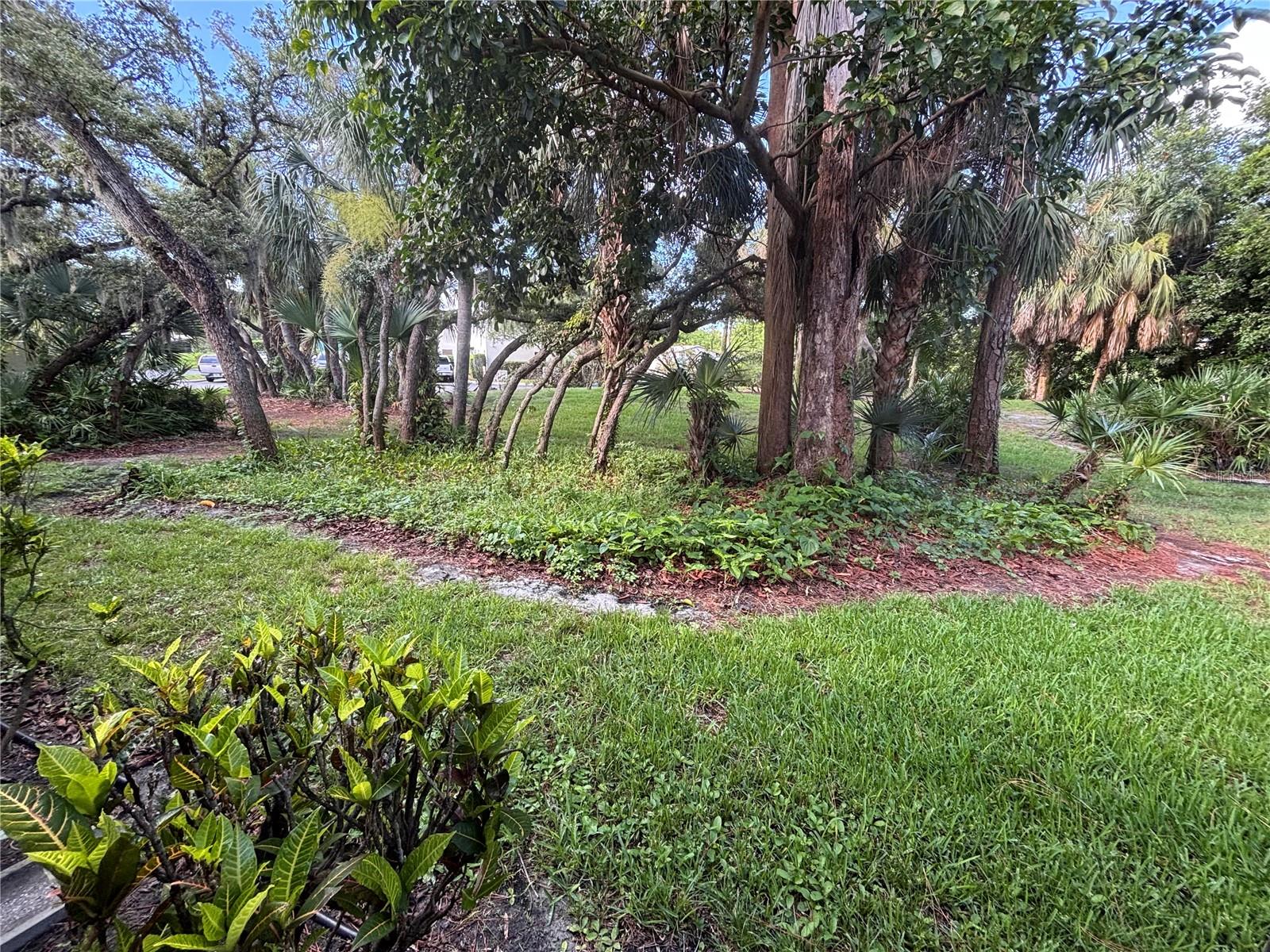 345 SPRINGDALE DR #345
