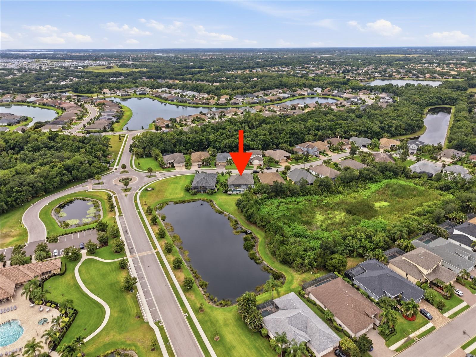 514 HONEYFLOWER LOOP