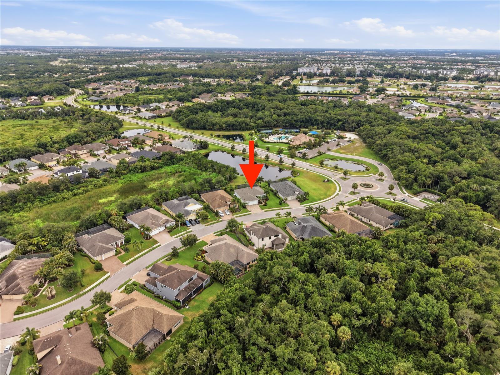 514 HONEYFLOWER LOOP