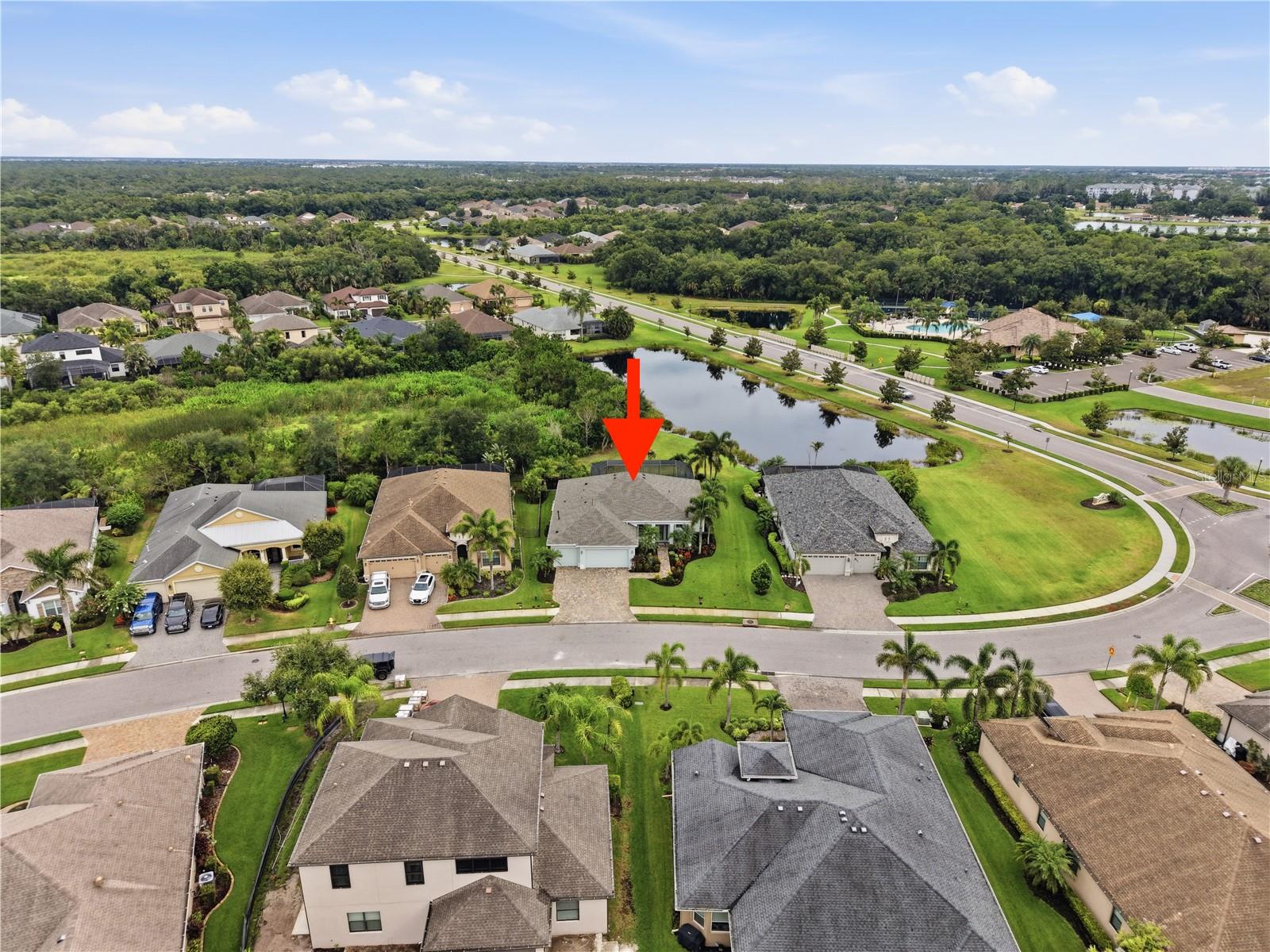 514 HONEYFLOWER LOOP