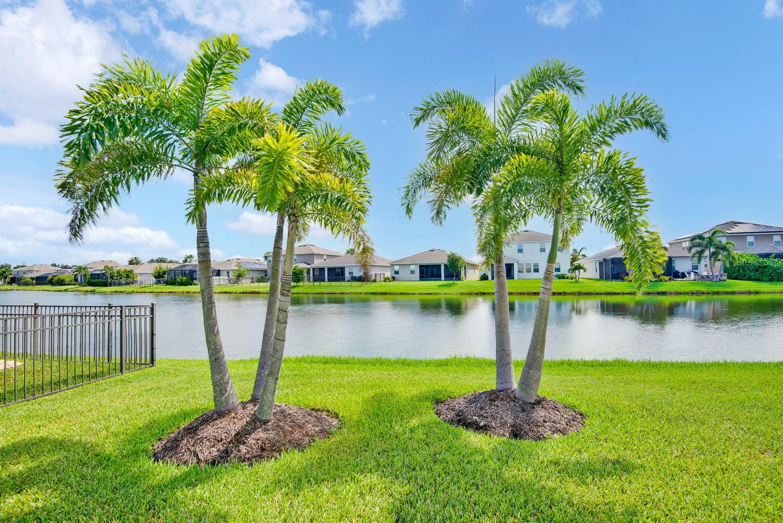 6435 DEVESTA LOOP