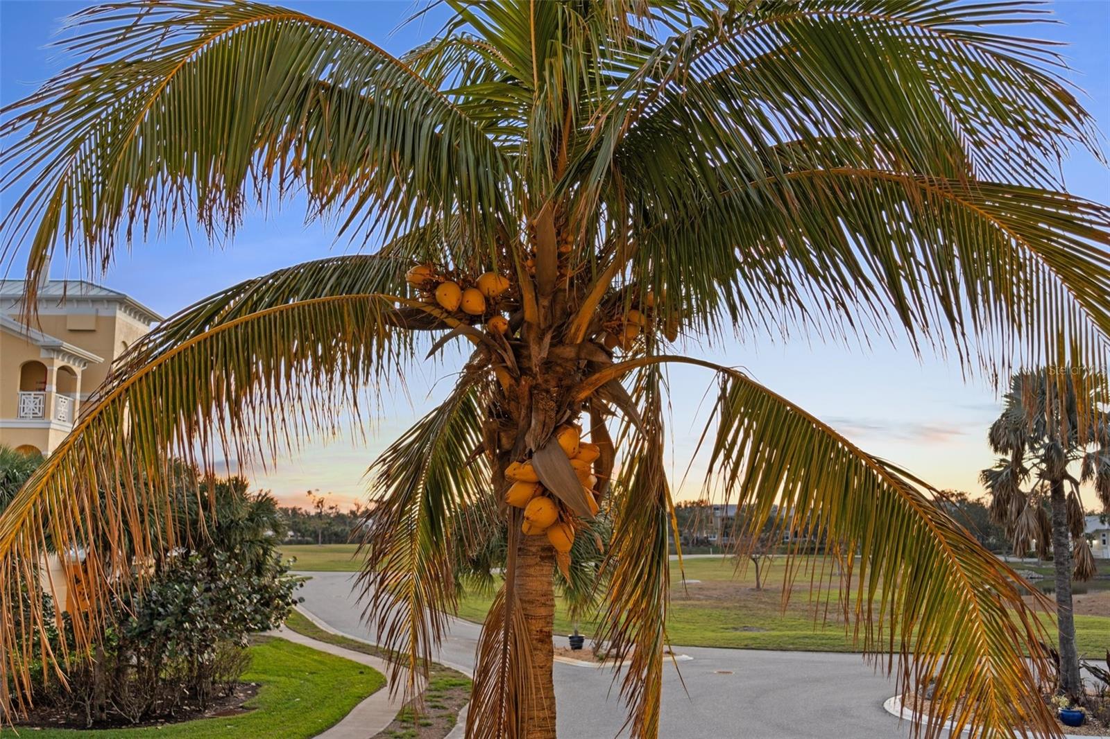 10501 AMBERJACK WAY #101