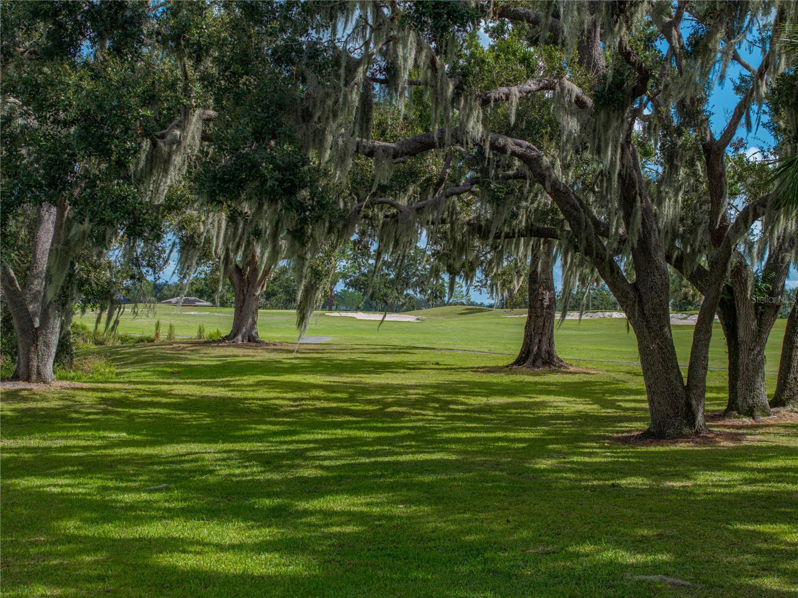 2977 WILDERNESS BLVD E