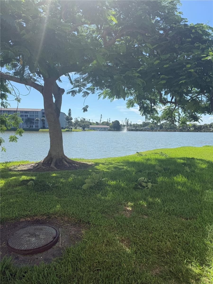 3697 LAKE BAYSHORE DR #H-109