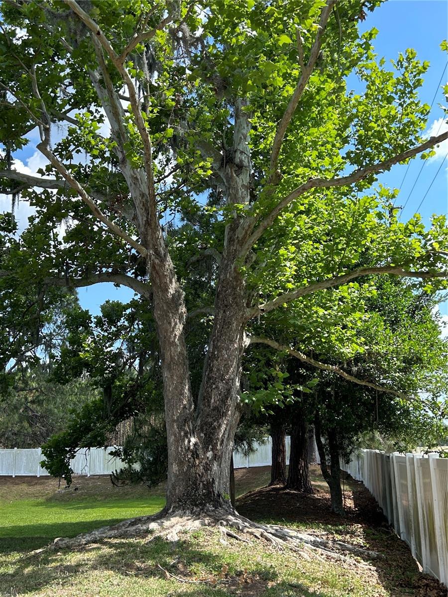 21032 VOYAGER BLVD #4