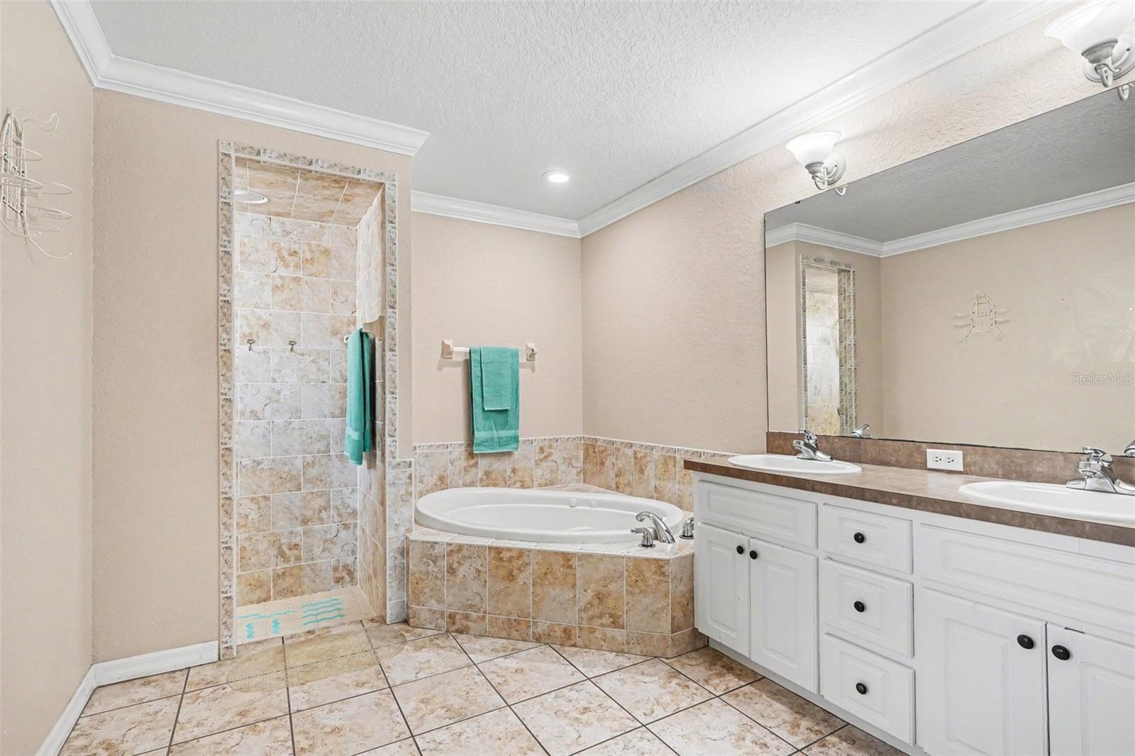 113 SHADDOCK DR