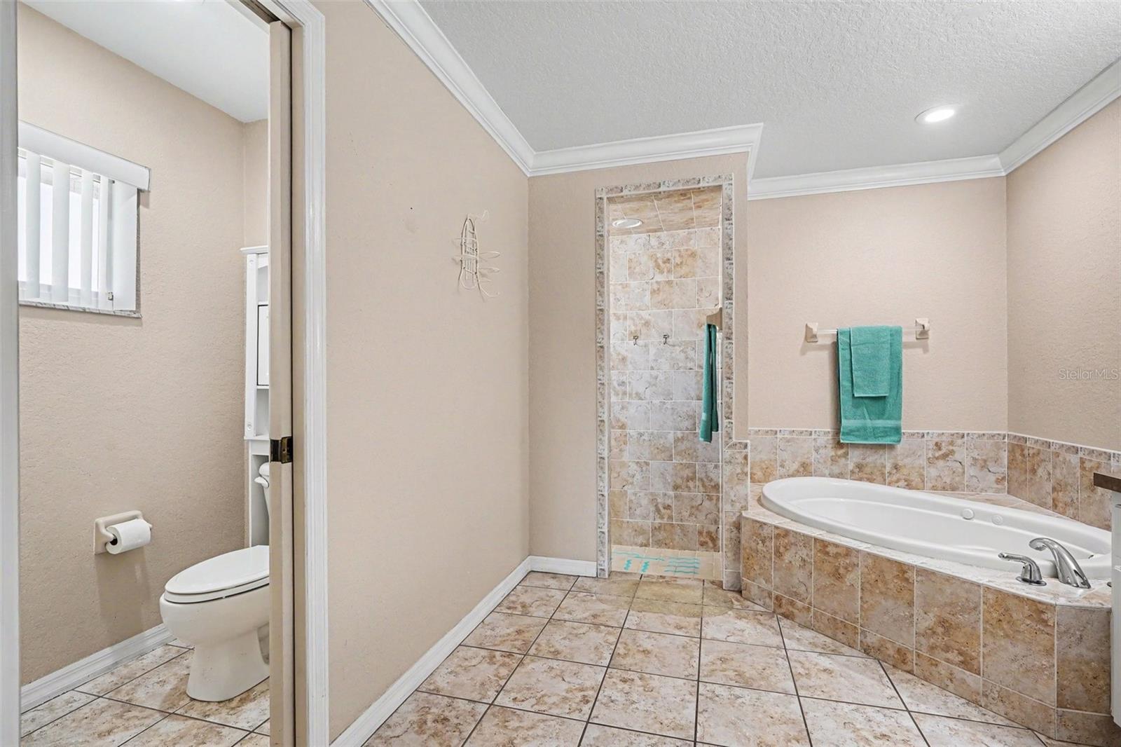 113 SHADDOCK DR