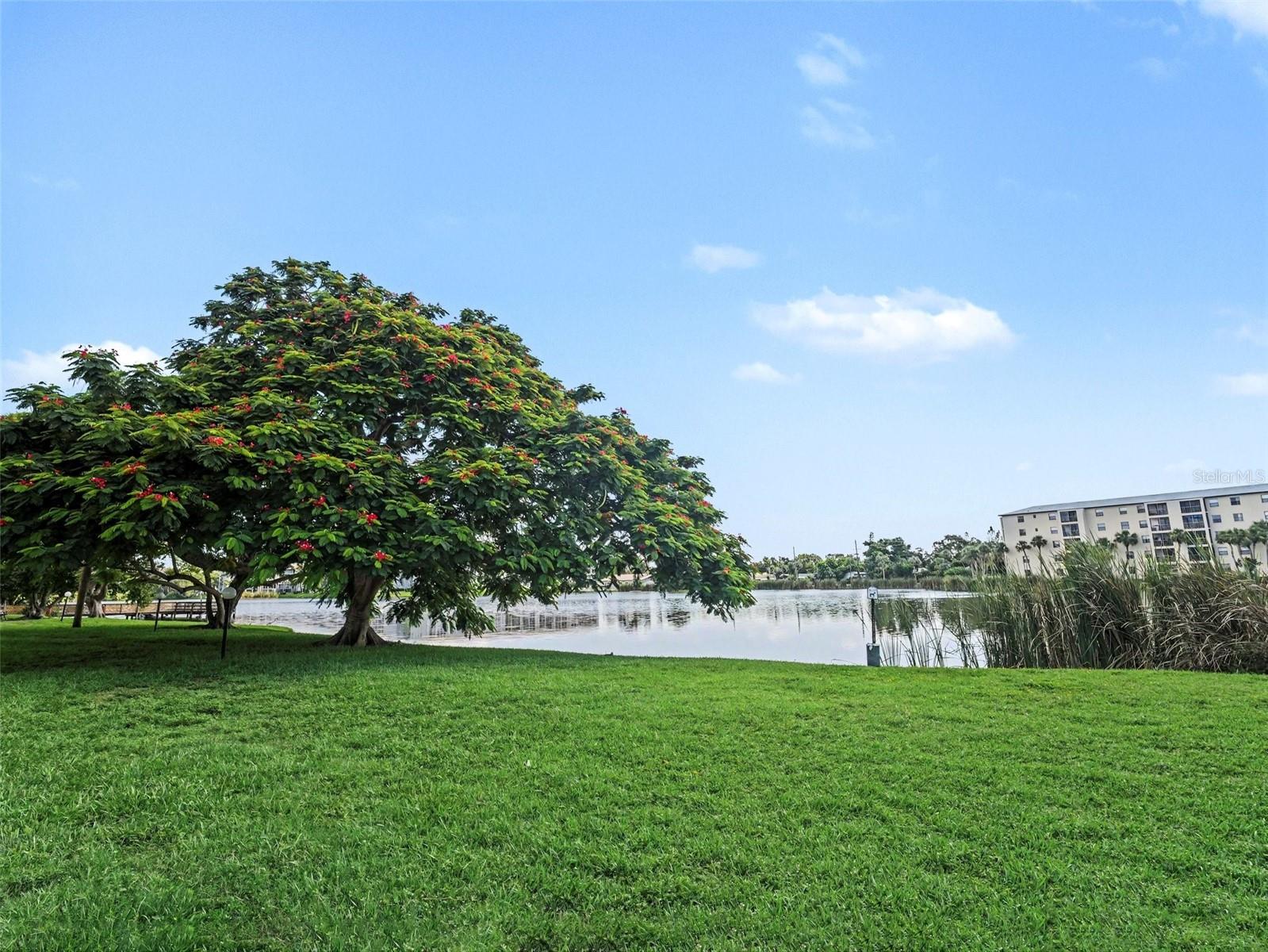 4023 LAKE BAYSHORE DR #112