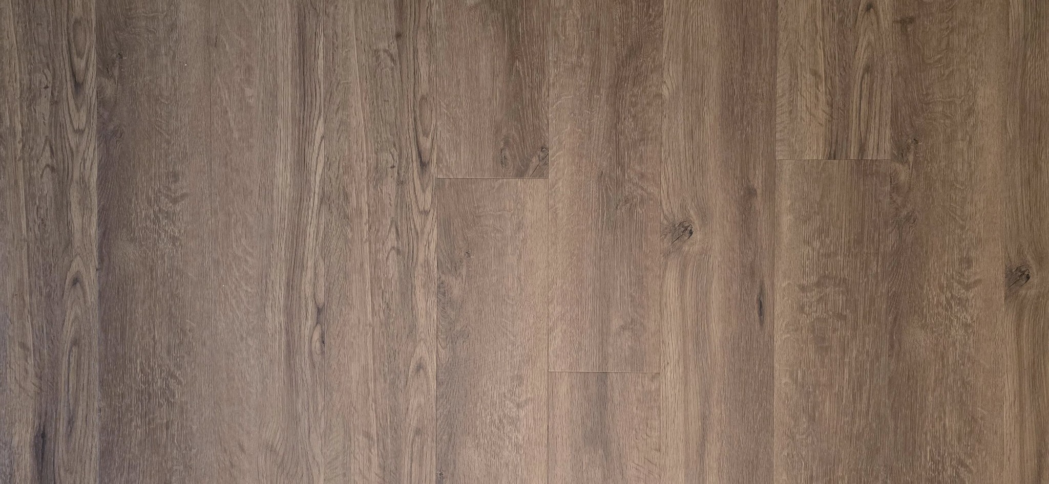 8047 Bienville Dr Unit: X6