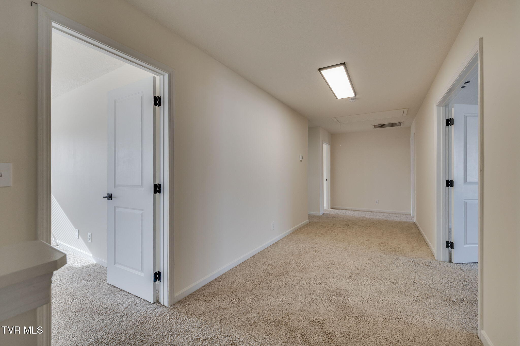 1081 Raccoon Lane