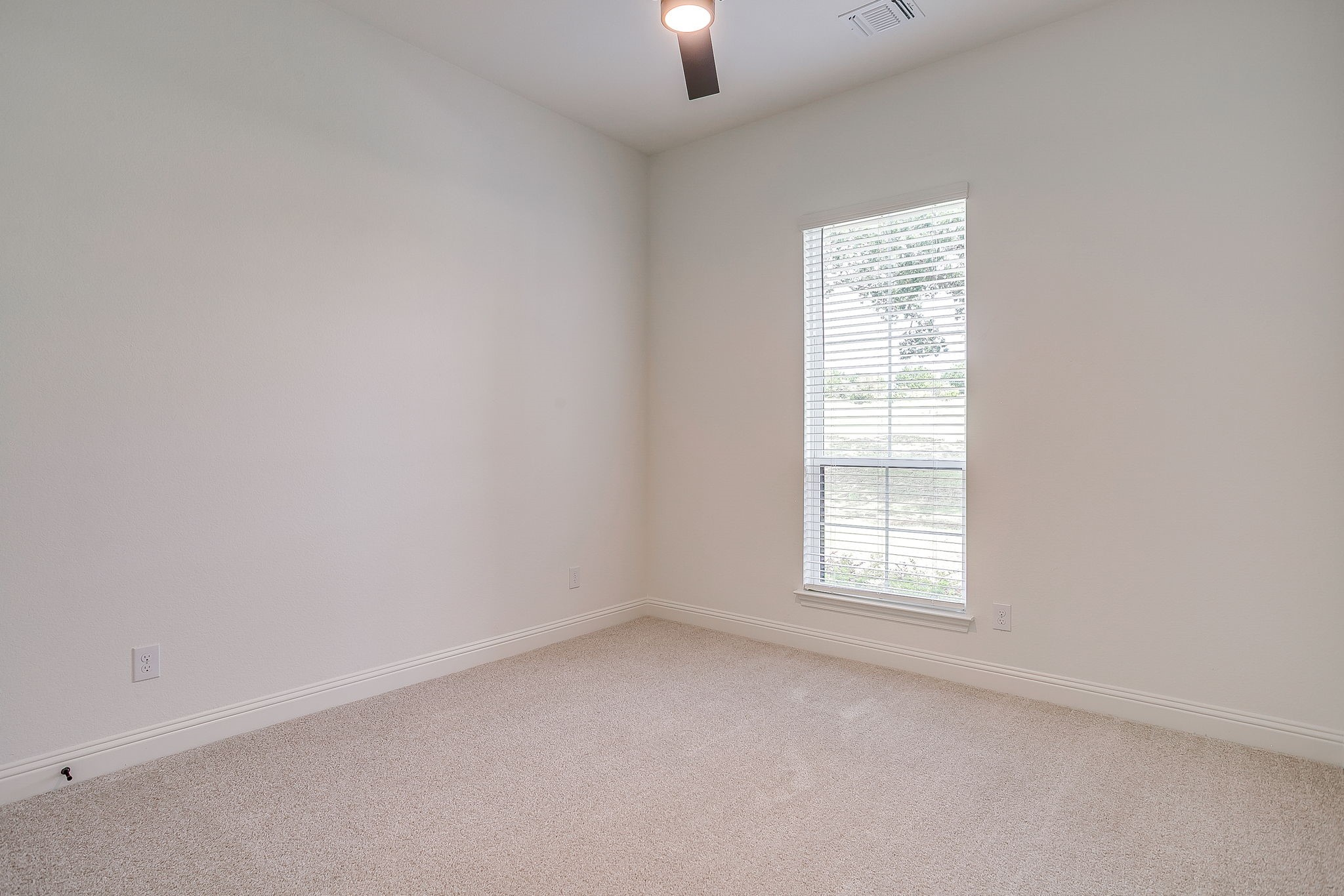 336 Slimp Bluff