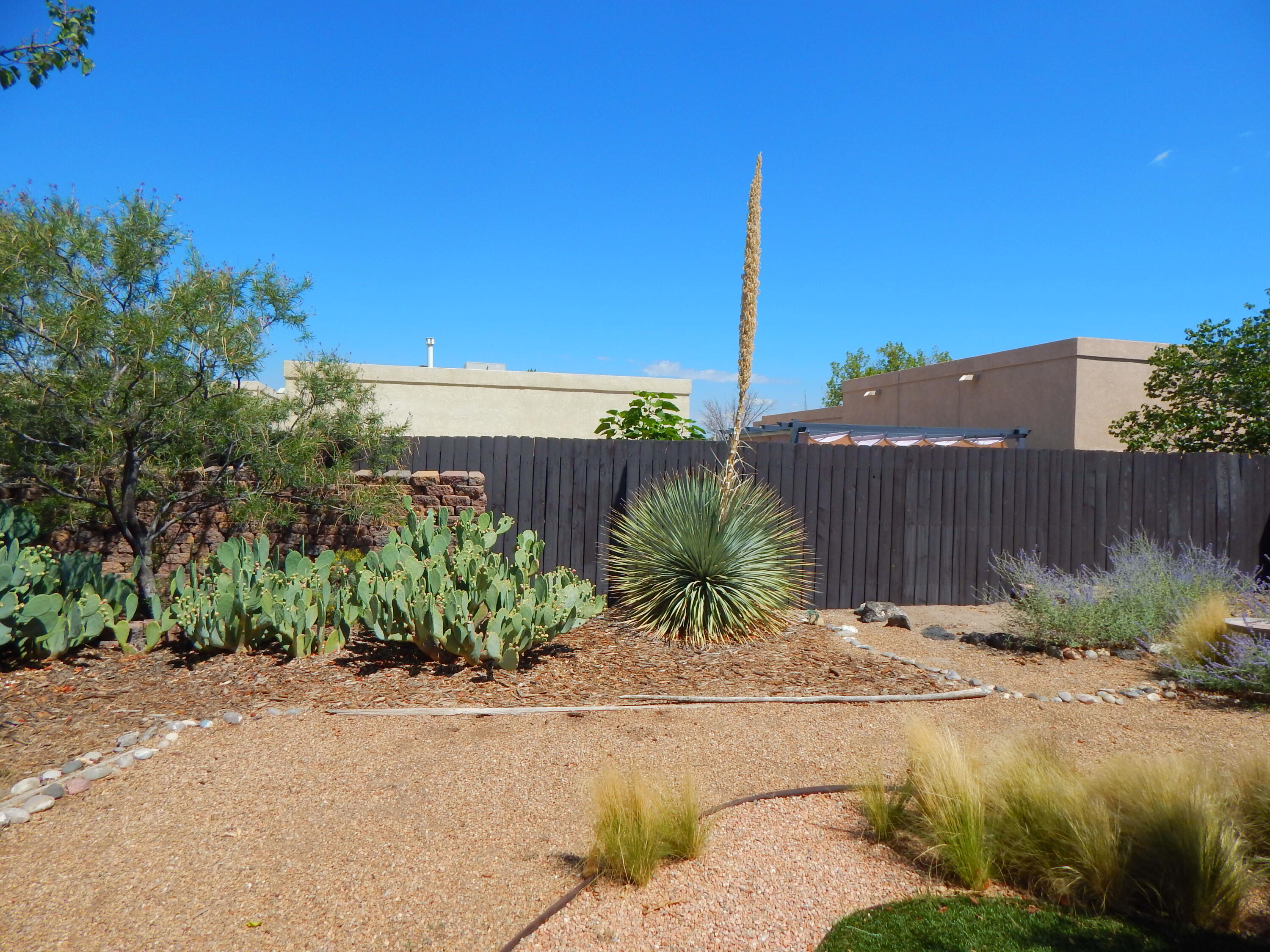 7309 Prenda De Plata NW