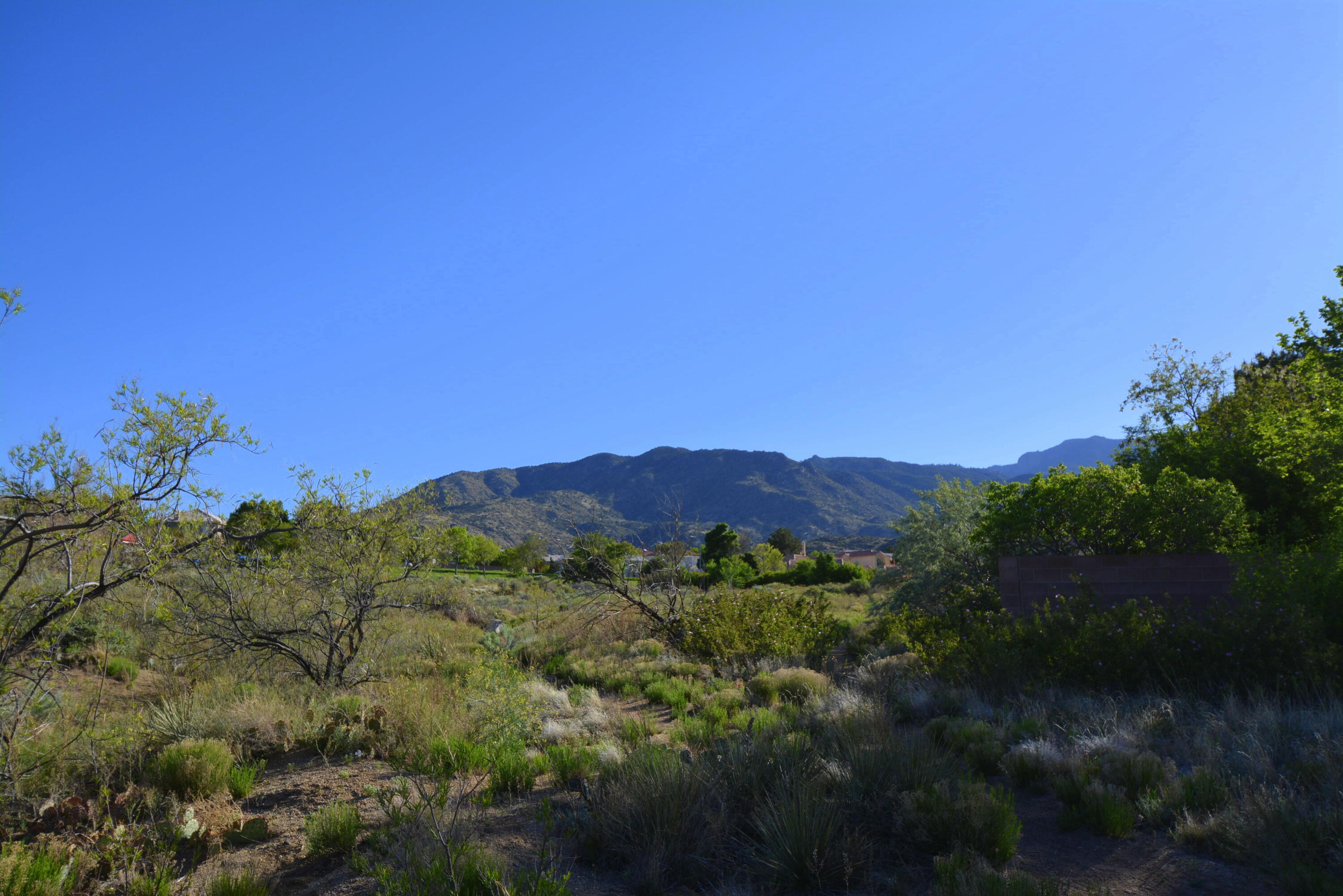 1221 PARSONS Street NE