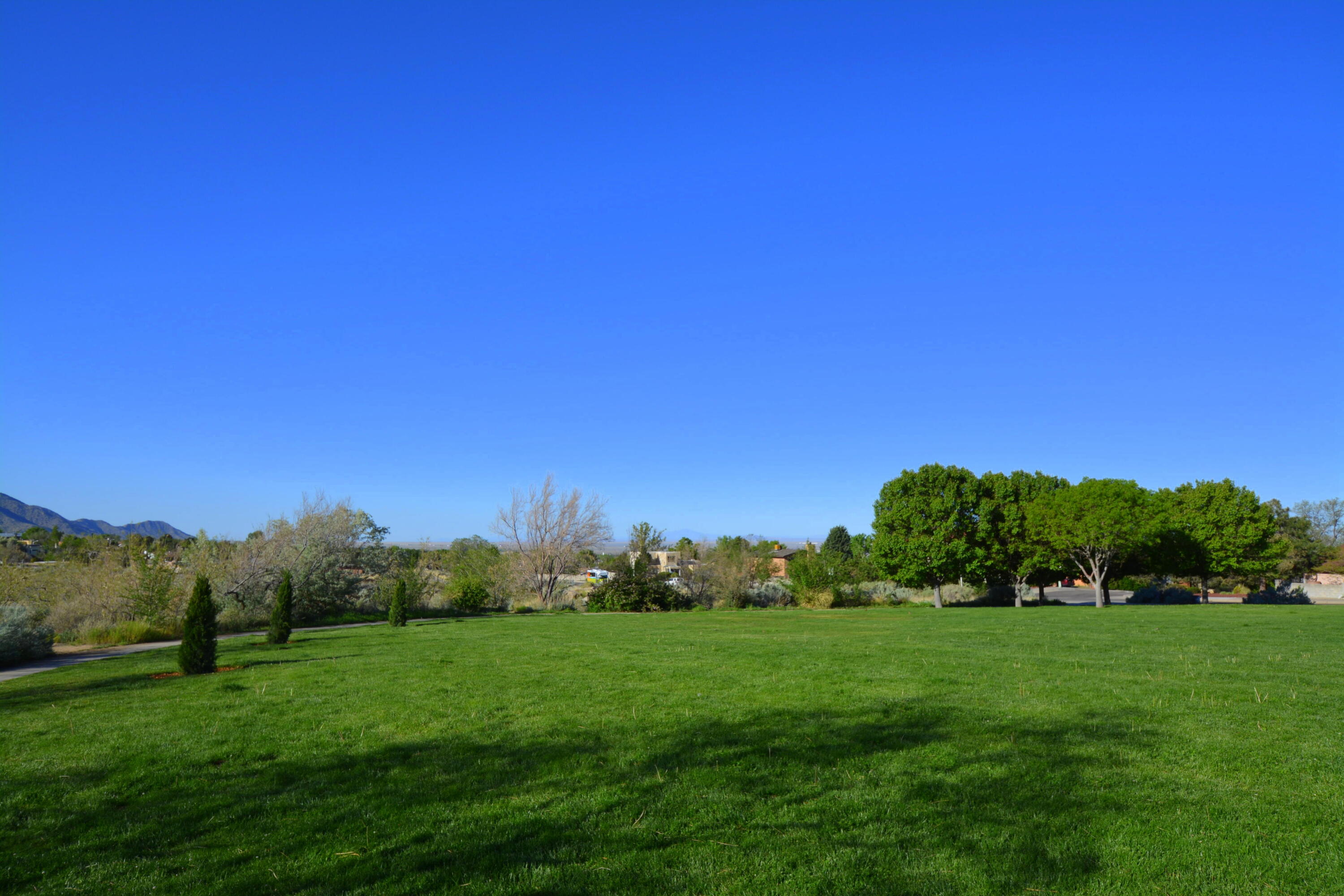 1221 PARSONS Street NE