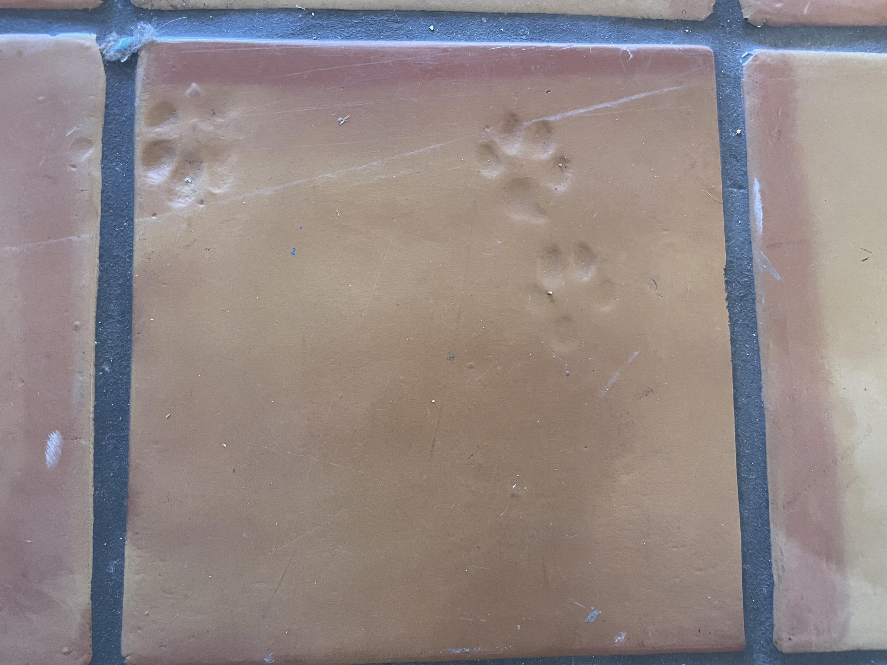 1221 PARSONS Street NE