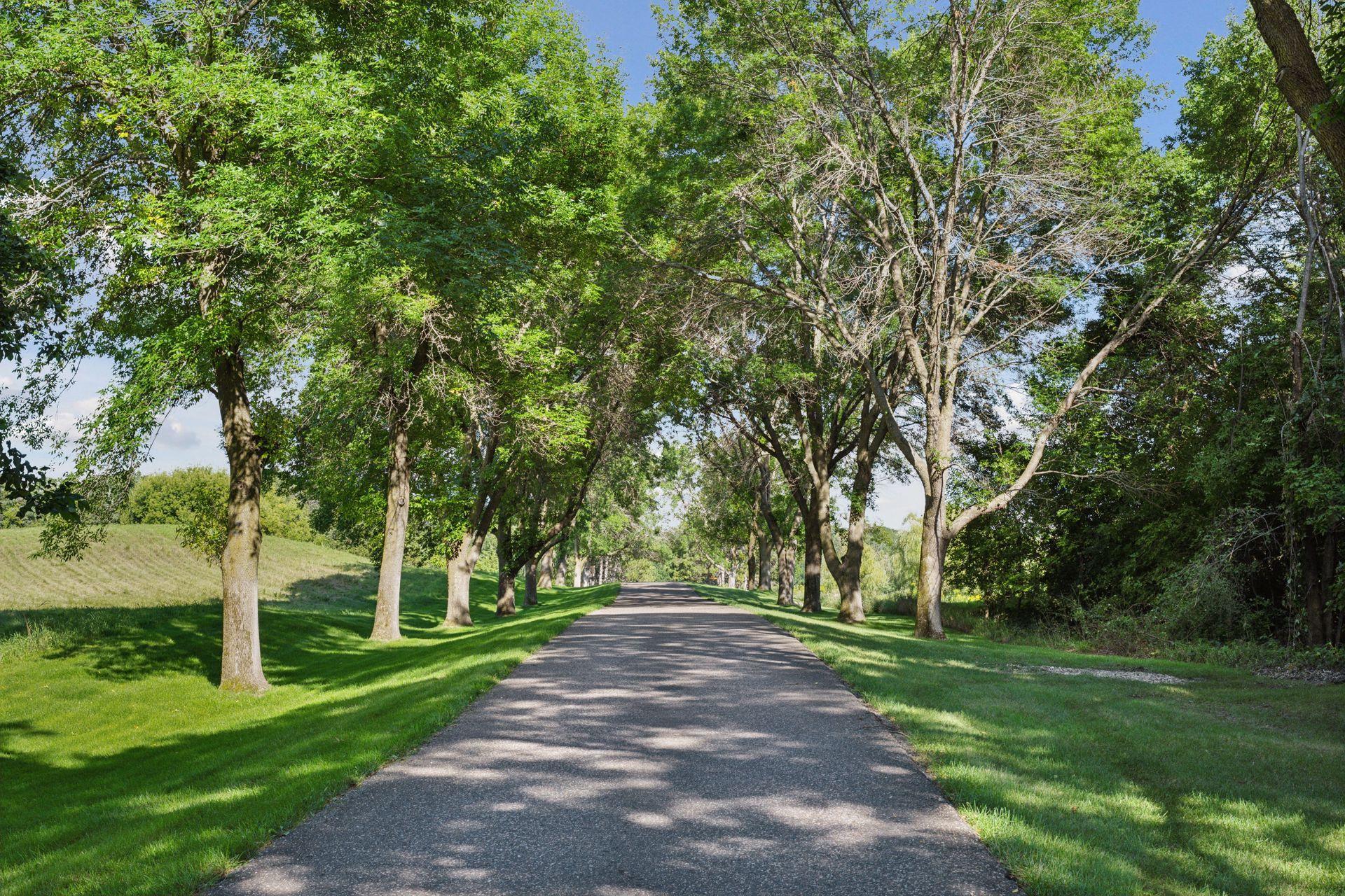 1420 Tamarack Drive