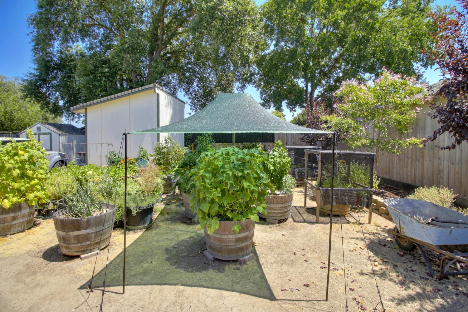 9658 Eisenbeisz Street