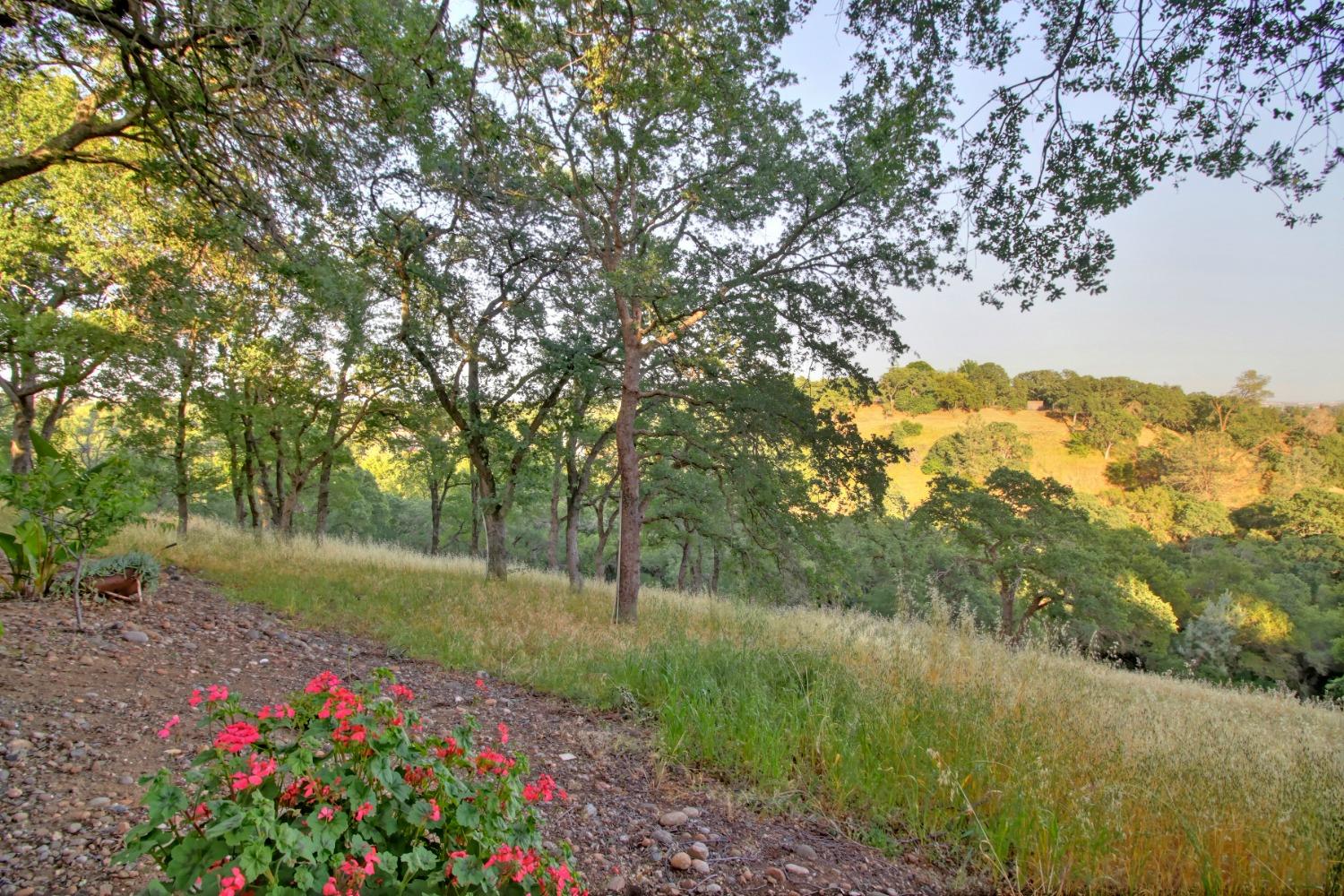 106 River Ridge Court
