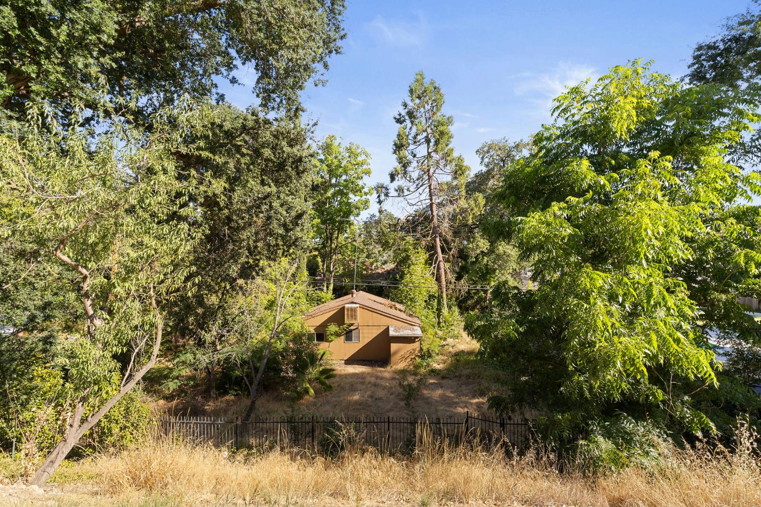 967 Piedmont Drive