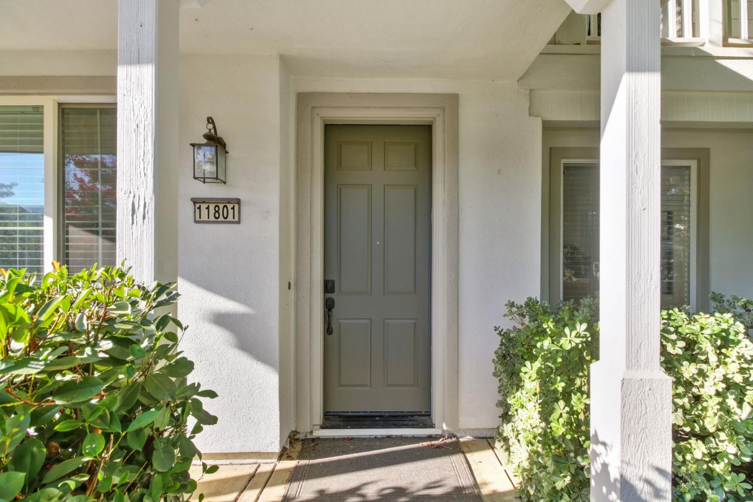 11801 Dionysus Way