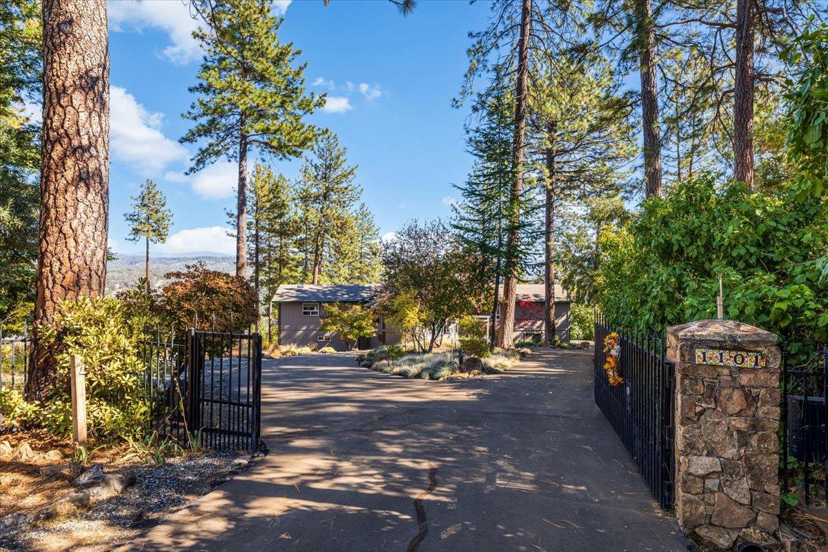 1101 Woodside Lane