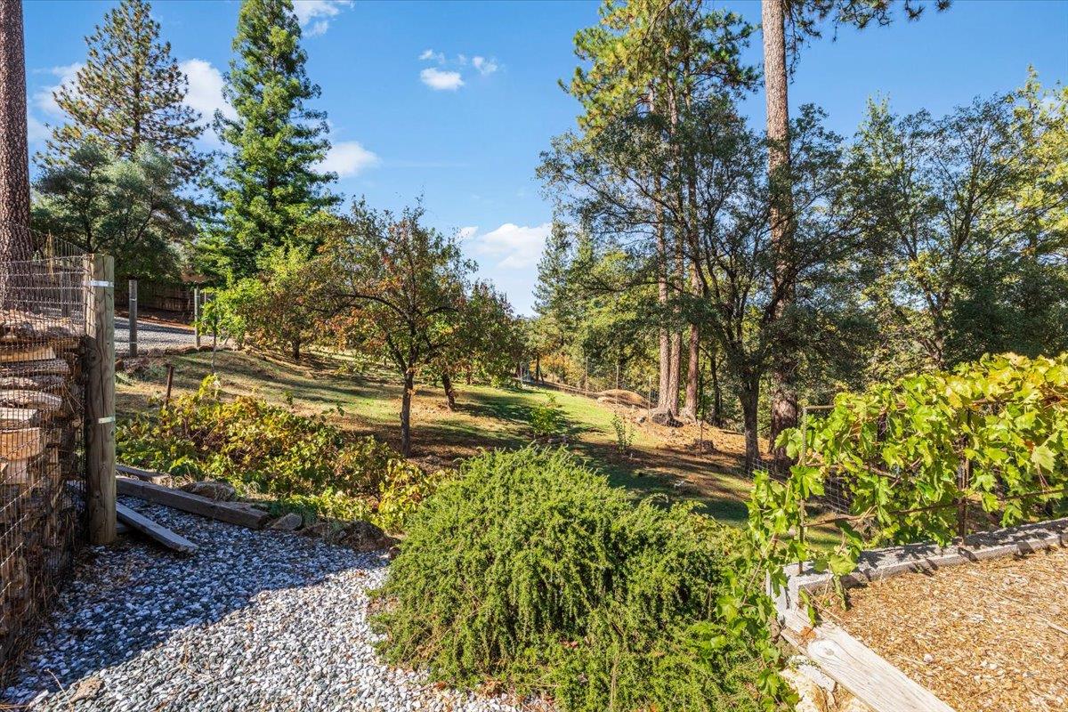 1101 Woodside Lane