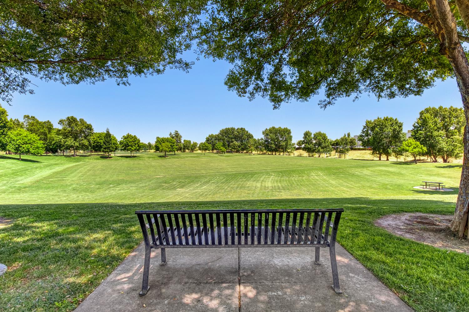 3505 Riojo Way
