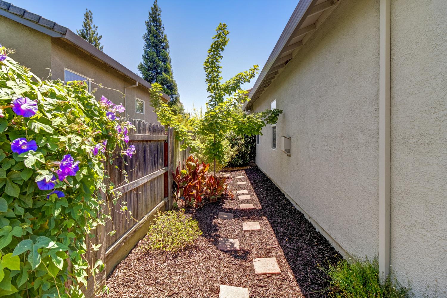 3505 Riojo Way